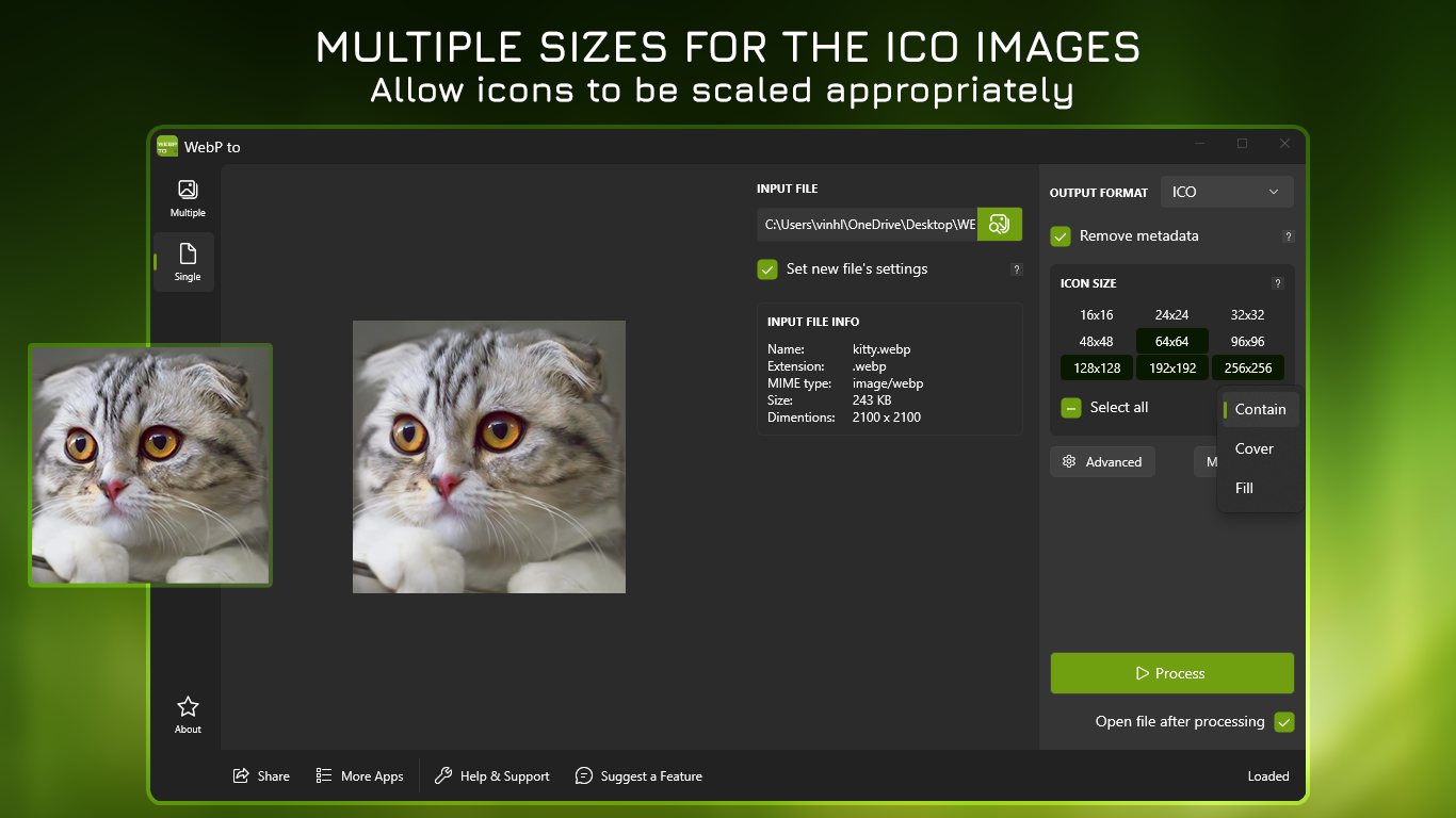 Multiple Sizes for the ICO Images - Allow icons to be scaled appropriately.