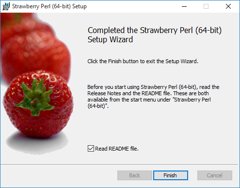 install-perl-step-6
