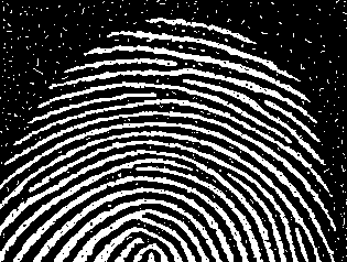 ss_4_noisy_fingerprint