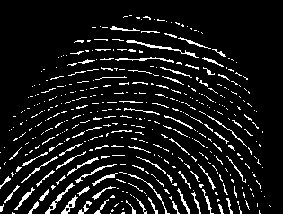 ss_5_noisy_fingerprint_erosed_3x3